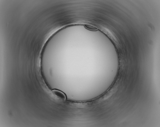 X0000113740900200910141001