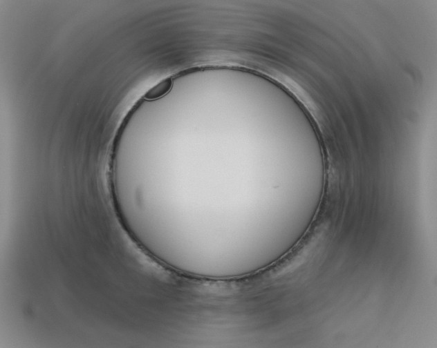 X0000113740901200910141001