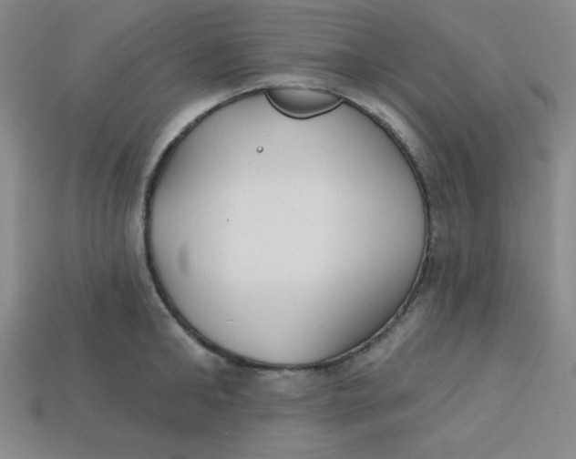 X0000113740902200910141001