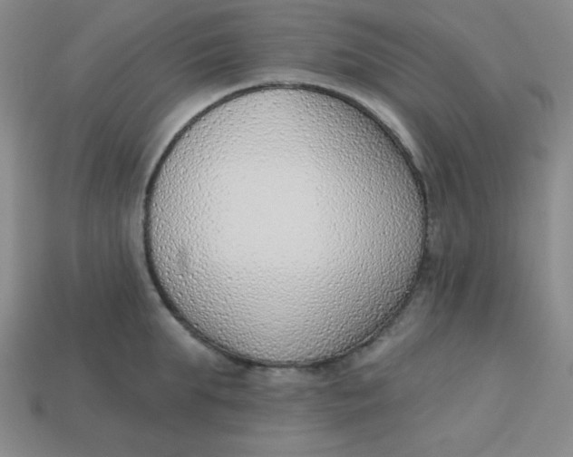 X0000113740903200910141001