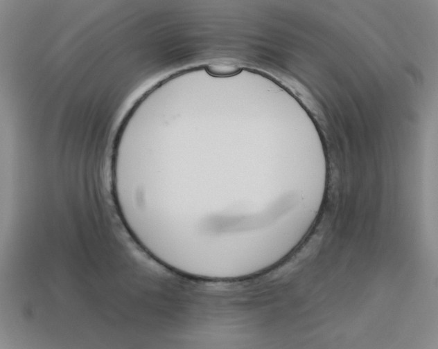 X0000113740904200910141001