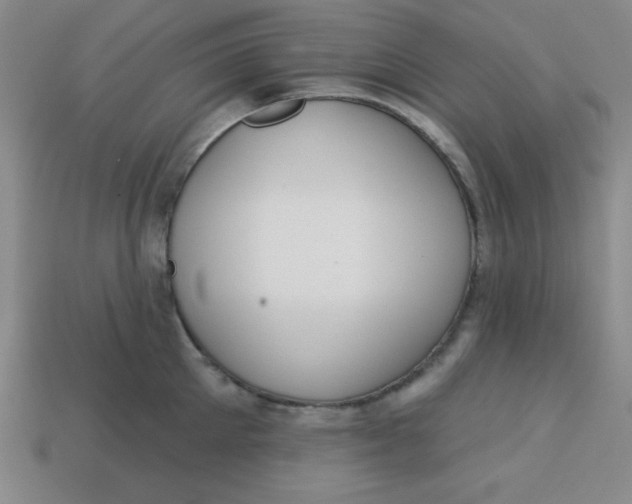 X0000113740905200910141001