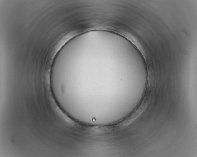 X0000113740906200910141001