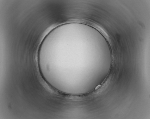 X0000113740907200910141001