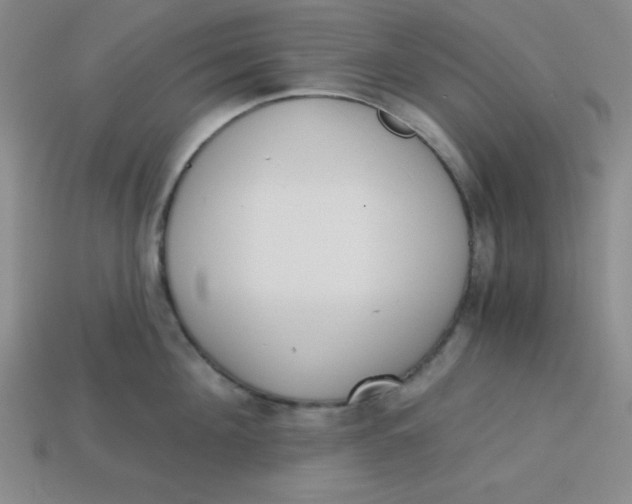 X0000113740908200910141001