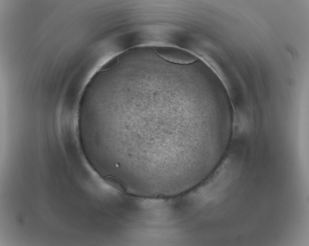 X0000113740909200910141001