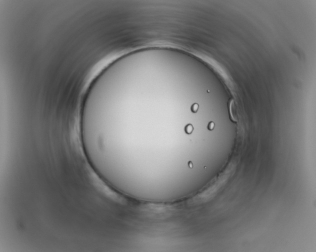 X0000113740910200910141001