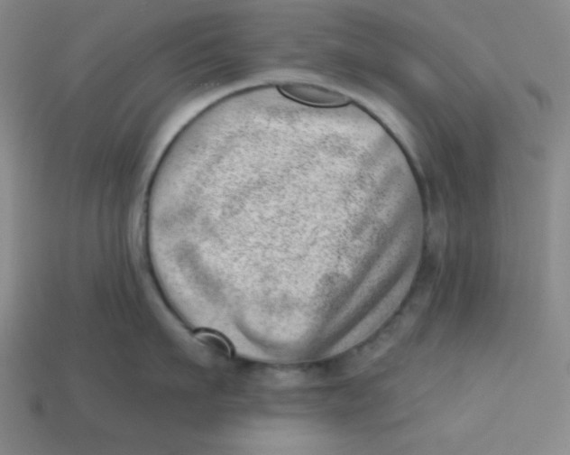 X0000113740911200910141001