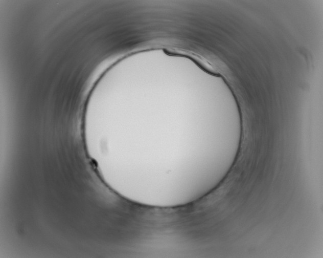 X0000113740912200910141001