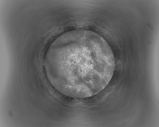 X0000113740913200910141000