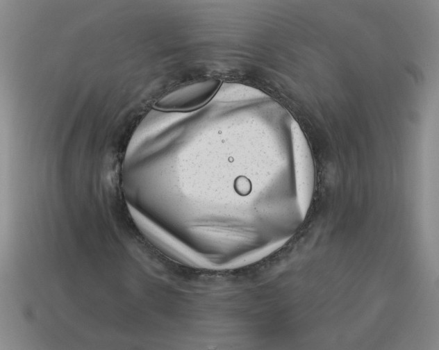 X0000113740914200910141000