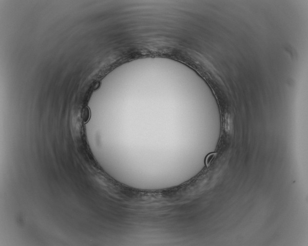 X0000113740915200910141000