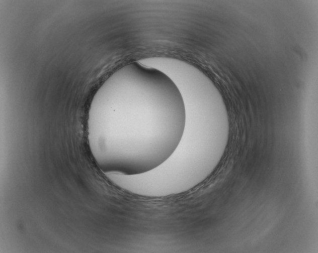 X0000113740916200910141000