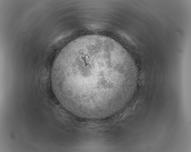 X0000113740917200910141000