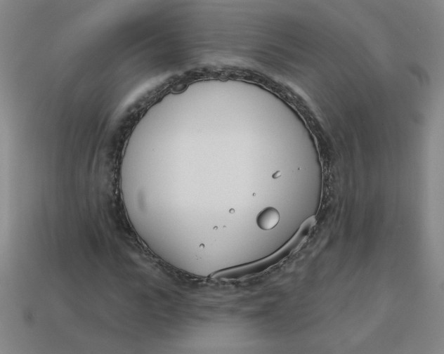 X0000113740919200910141000