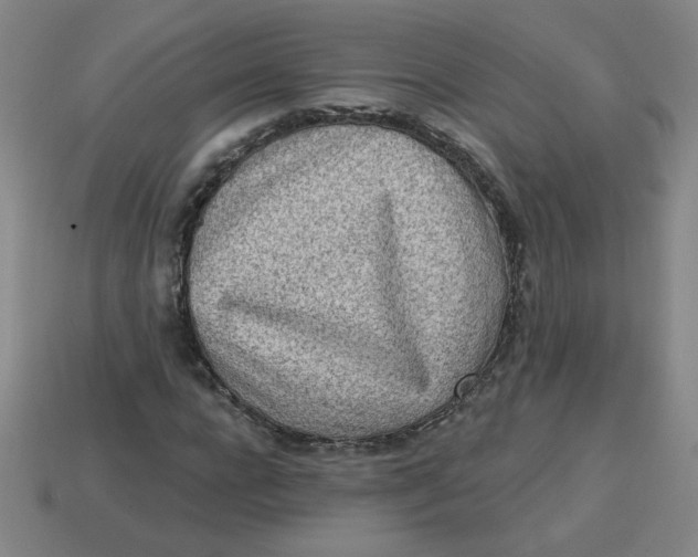 X0000113740920200910141000