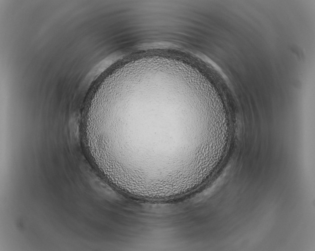 X0000113740921200910141000