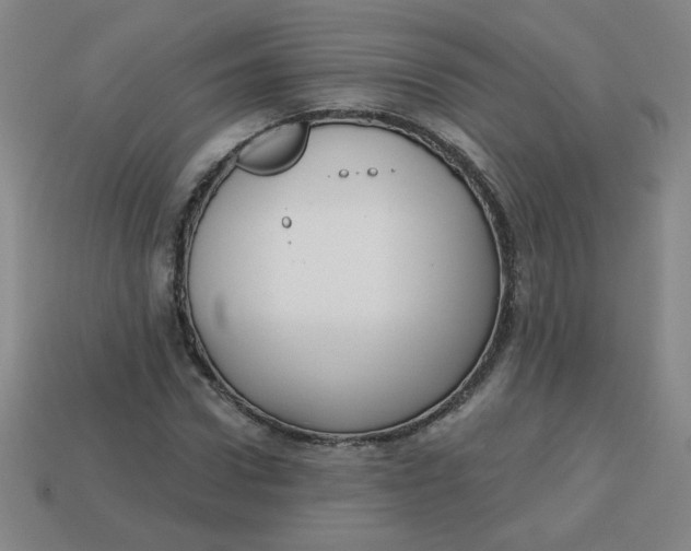 X0000113740922200910141000