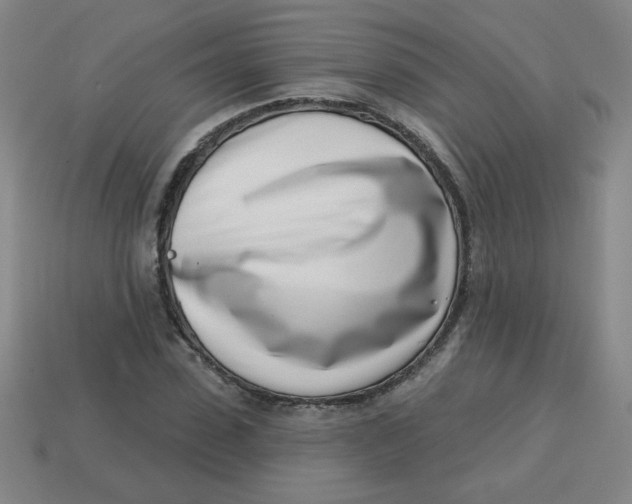 X0000113740923200910141000