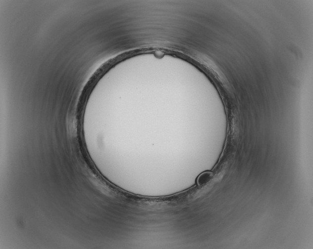 X0000113740924200910141000