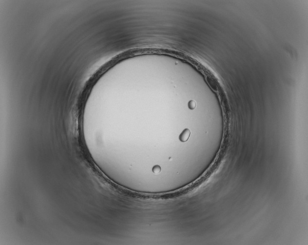 X0000113740925200910141000