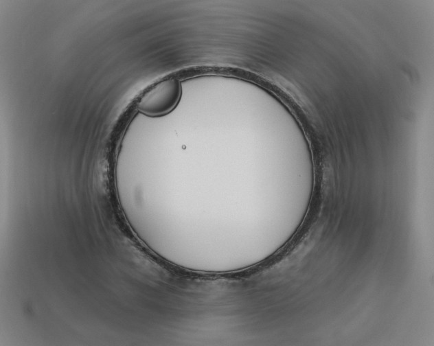 X0000113740926200910141000