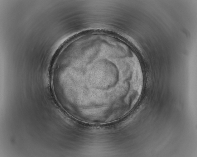 X0000113740927200910141000