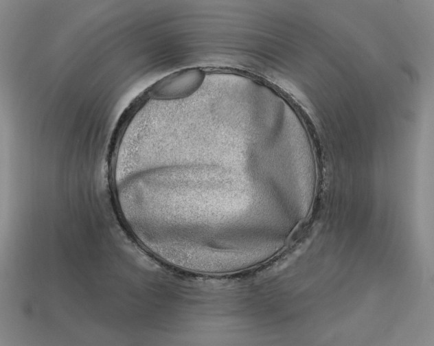 X0000113740928200910141000