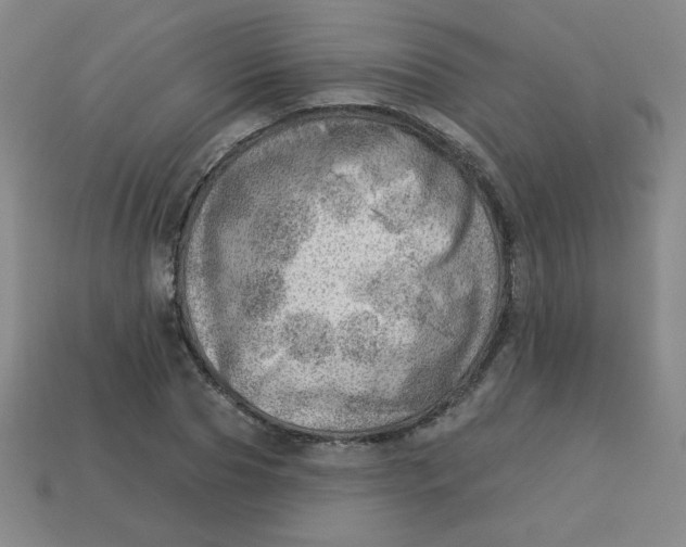 X0000113740929200910141000