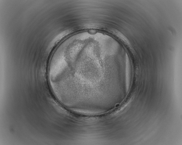 X0000113740930200910141000