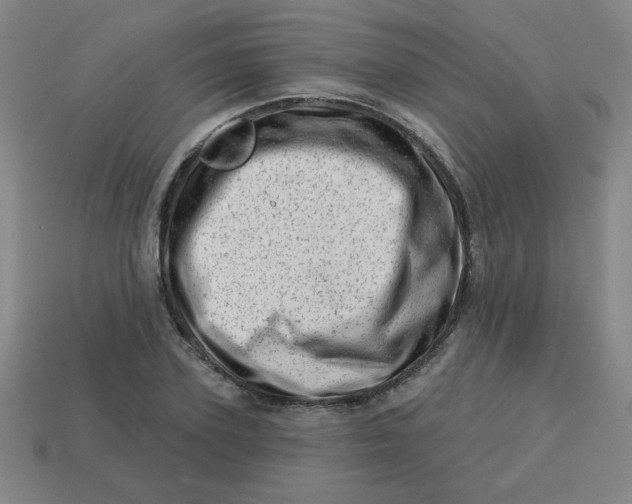 X0000113740931200910141000