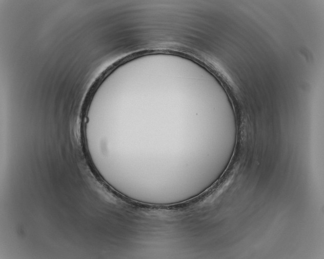 X0000113740932200910141000