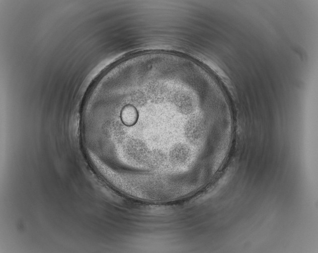 X0000113740933200910141000