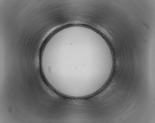 X0000113740934200910141000