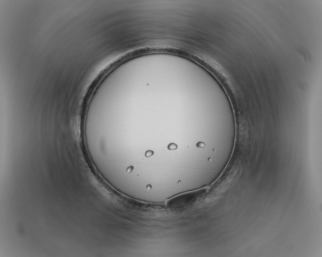 X0000113740935200910141000