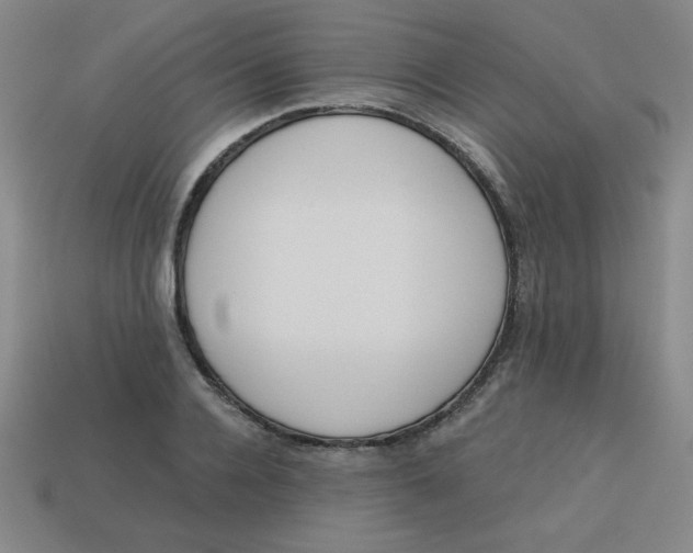 X0000113740936200910141000