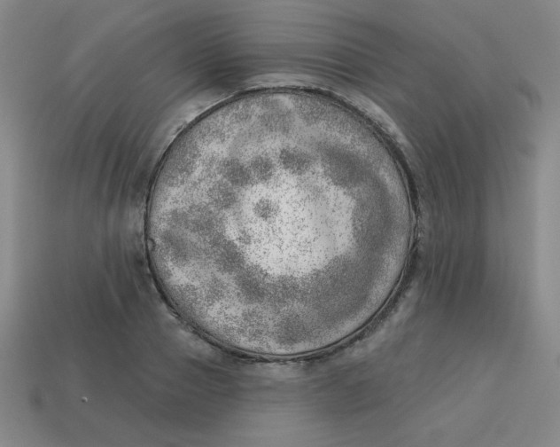 X0000113740937200910141000