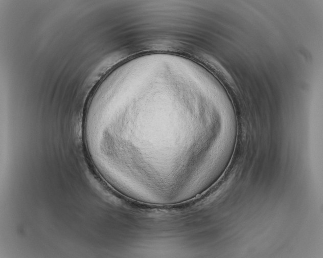 X0000113740938200910141000