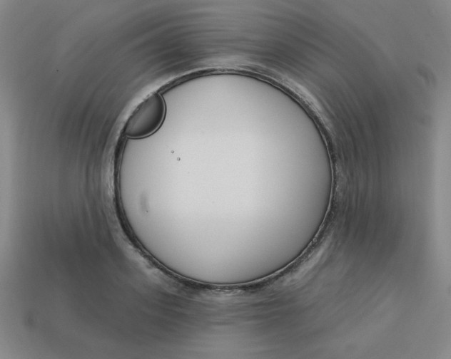 X0000113740939200910141000