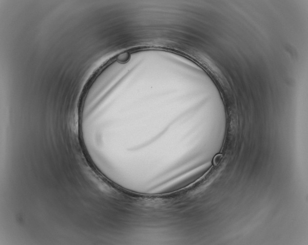 X0000113740940200910141000