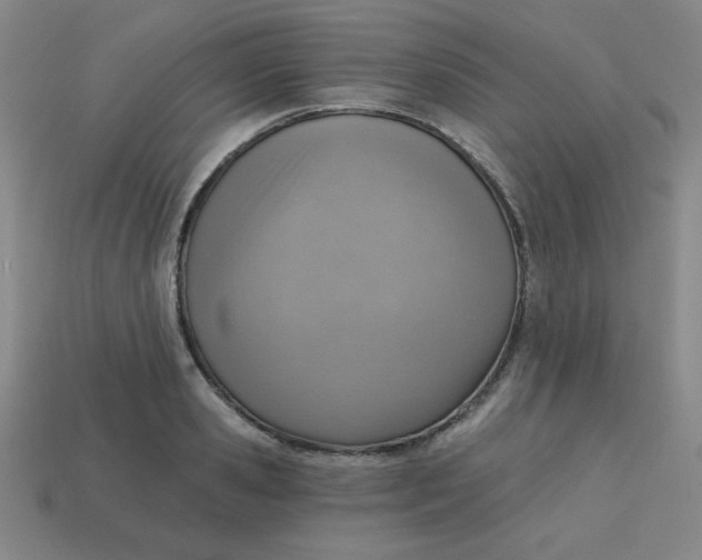 X0000113740941200910141000