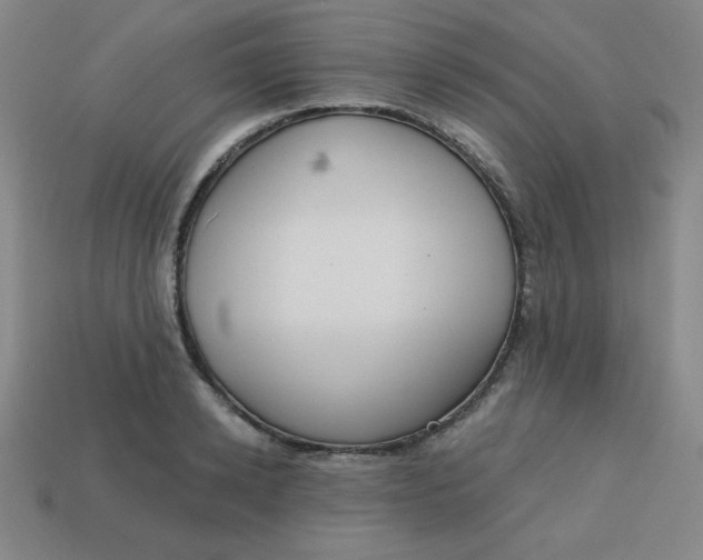 X0000113740942200910141000