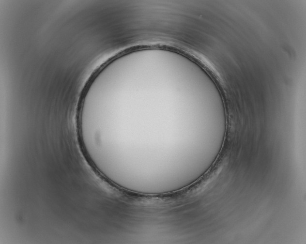 X0000113740943200910141000