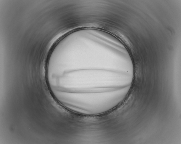 X0000113740944200910141000