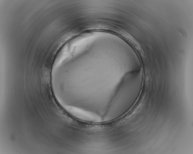 X0000113740945200910141000