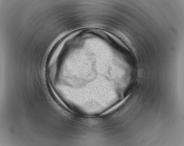 X0000113740947200910141000