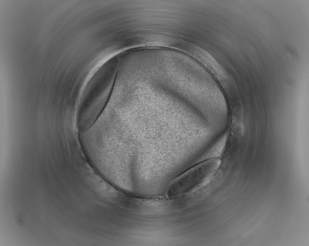 X0000113740948200910141000