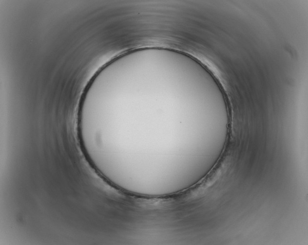 X0000113740949200910141001