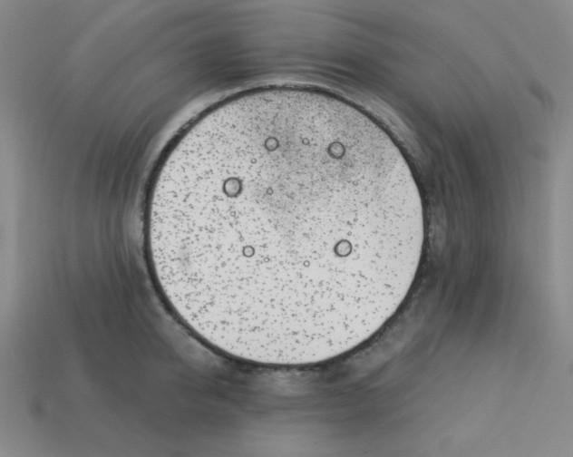 X0000113740950200910141001