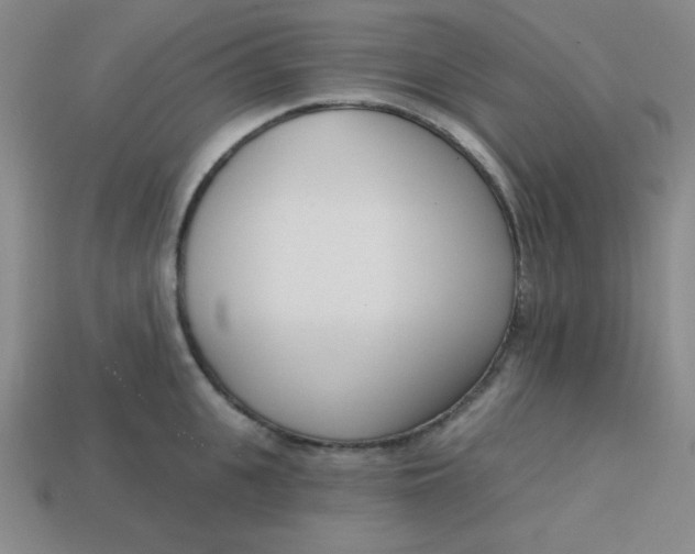 X0000113740951200910141001